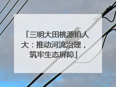 三明大田桃源镇人大：推动河流治理，筑牢生态屏障