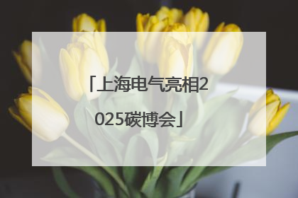 上海电气亮相2025碳博会