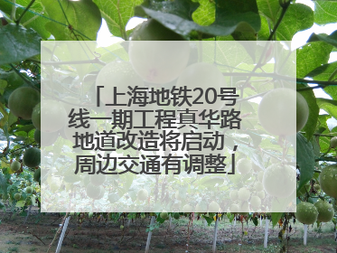 上海地铁20号线一期工程真华路地道改造将启动，周边交通有调整