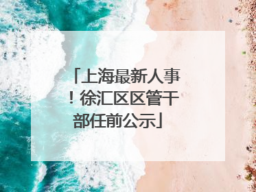 上海最新人事！徐汇区区管干部任前公示