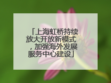 上海虹桥持续放大开放新模式，加强海外发展服务中心建设