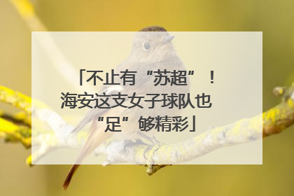 不止有“苏超”！海安这支女子球队也“足”够精彩