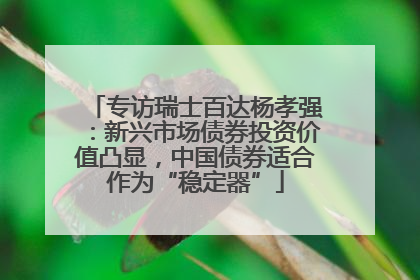 专访瑞士百达杨孝强：新兴市场债券投资价值凸显，中国债券适合作为“稳定器”