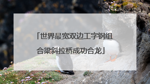 世界最宽双边工字钢组合梁斜拉桥成功合龙