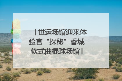 世运场馆迎来体验官“探秘”香城软式曲棍球场馆