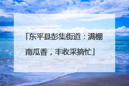 东平县彭集街道：满棚南瓜香，丰收采摘忙