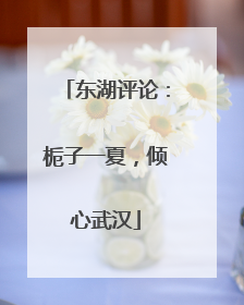东湖评论：栀子一夏，倾心武汉