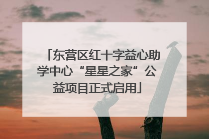 东营区红十字益心助学中心“星星之家”公益项目正式启用