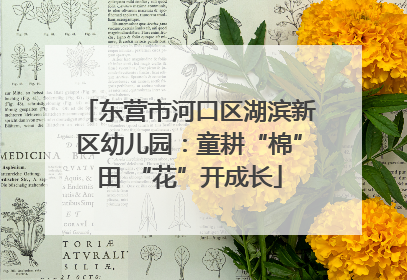 东营市河口区湖滨新区幼儿园：童耕“棉”田 “花”开成长