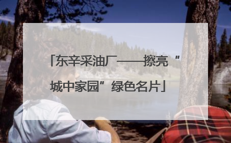 东辛采油厂——擦亮“城中家园”绿色名片