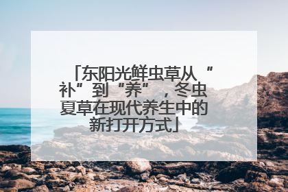 东阳光鲜虫草从“补”到“养”，冬虫夏草在现代养生中的新打开方式