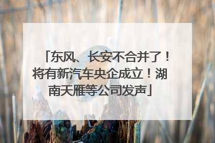 东风、长安不合并了！将有新汽车央企成立！湖南天雁等公司发声