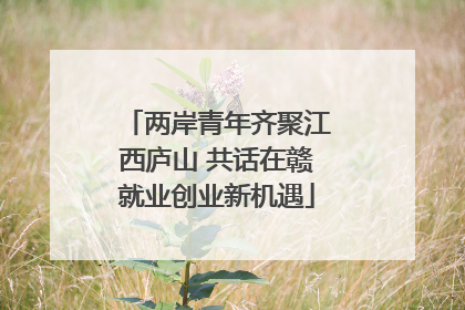 两岸青年齐聚江西庐山 共话在赣就业创业新机遇