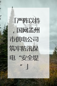 严阵以待，国网孟州市供电公司筑牢防汛保电“安全堤”