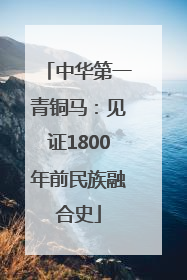 中华第一青铜马：见证1800年前民族融合史