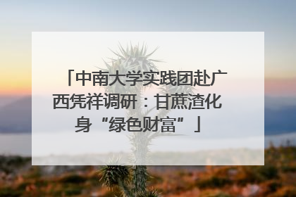 中南大学实践团赴广西凭祥调研：甘蔗渣化身“绿色财富”