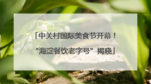 中关村国际美食节开幕!“海淀餐饮老字号”揭晓