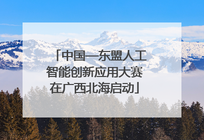 中国—东盟人工智能创新应用大赛在广西北海启动