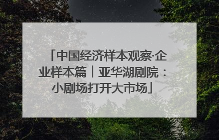 中国经济样本观察·企业样本篇︱亚华湖剧院：小剧场打开大市场