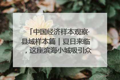 中国经济样本观察·县域样本篇｜夏日来临，这座滨海小城吸引众多年轻人打卡……