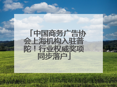 中国商务广告协会上海机构入驻普陀！行业权威奖项同步落户