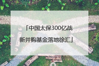 中国太保300亿战新并购基金落地徐汇