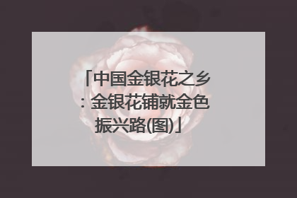 中国金银花之乡：金银花铺就金色振兴路(图)