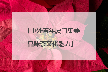 中外青年厦门集美品味茶文化魅力