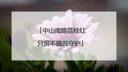中山南路荔枝红 只赏不摘共守护
