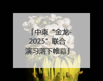 中柬“金龙-2025”联合演习落下帷幕