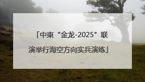 中柬“金龙-2025”联演举行海空方向实兵演练