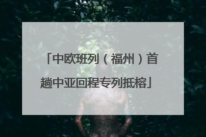 中欧班列（福州）首趟中亚回程专列抵榕