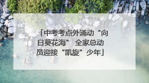 中考考点外涌动“向日葵花海” 全家总动员迎接“凯旋”少年
