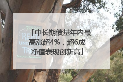 中长期债基年内最高涨超4%，超6成净值表现创新高