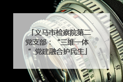 义马市检察院第二党支部：“三维一体”党建融合护民生