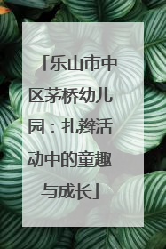 乐山市中区茅桥幼儿园：扎辫活动中的童趣与成长