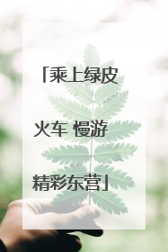 乘上绿皮火车 慢游精彩东营