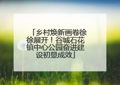 乡村焕新画卷徐徐展开！谷城石花镇中心公园奋进建设初显成效