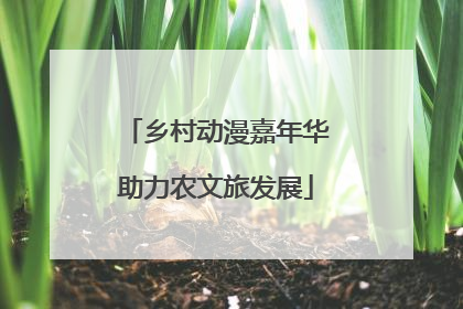 乡村动漫嘉年华助力农文旅发展