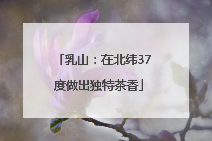 乳山：在北纬37度做出独特茶香