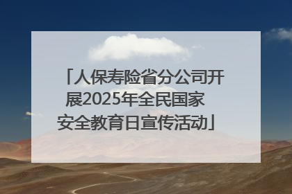 人保寿险省分公司开展2025年全民国家安全教育日宣传活动