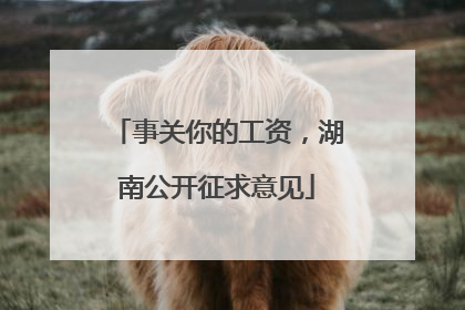 事关你的工资，湖南公开征求意见