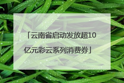云南省启动发放超10亿元彩云系列消费券