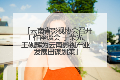 云南省影视协会召开工作座谈会 于荣光、王砚辉为云南影视产业发展出谋划策