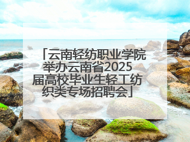云南轻纺职业学院举办云南省2025届高校毕业生轻工纺织类专场招聘会