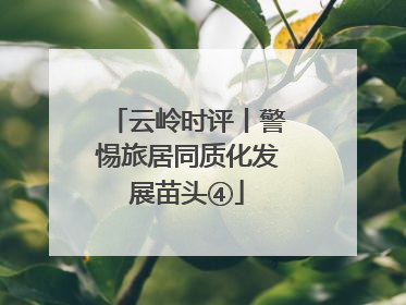 云岭时评丨警惕旅居同质化发展苗头④