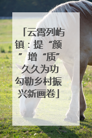 云霄列屿镇：提“颜”增“质” 久久为功勾勒乡村振兴新画卷