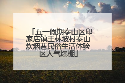 五一假期泰山区邱家店镇王林坡村泰山炊烟巷民俗生活体验区人气爆棚