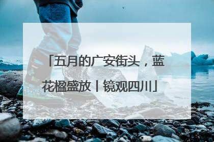 五月的广安街头，蓝花楹盛放丨镜观四川
