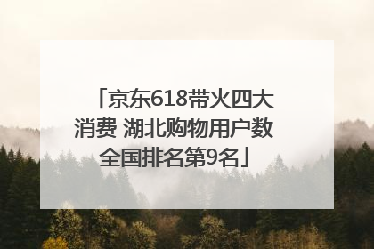 京东618带火四大消费 湖北购物用户数全国排名第9名